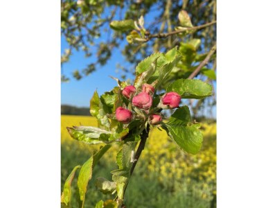 Holiday house House Schaalsee - Environment photo 44