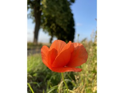 Holiday house House Schaalsee - Environment photo 46