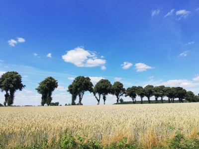 Holiday house House Schaalsee - Environment photo 48