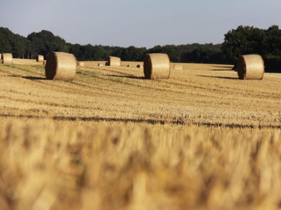 Holiday house House Schaalsee - Environment photo 51