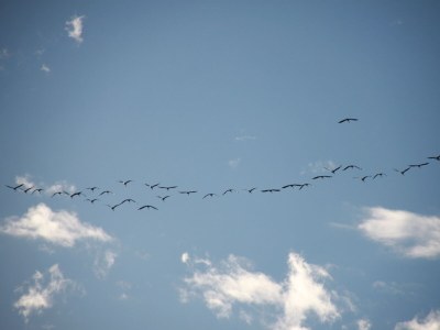 Holiday house House Schaalsee - Environment photo 54