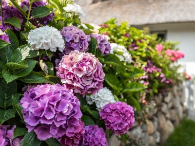 Holiday house Ferienhaus Käpt'n Karl Keitum / Sylt - Outdoor photo 16