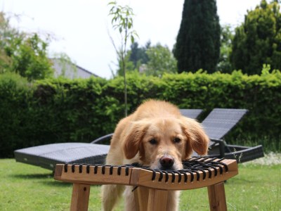 Apartment 6-Bett-Ferienwohnung EifelBleibe 2 - Outdoor photo 4