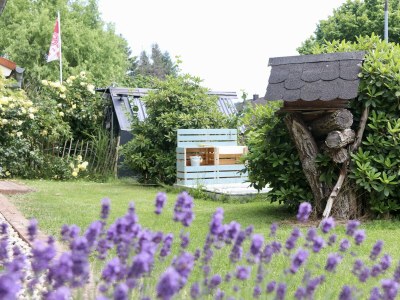 Apartment 6-Bett-Ferienwohnung EifelBleibe 2 - Features photo 51