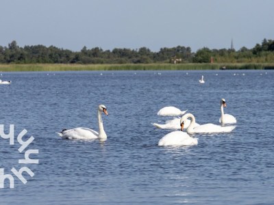 Holiday house Holiday house Giethoorn - OV269 - Environment photo 25