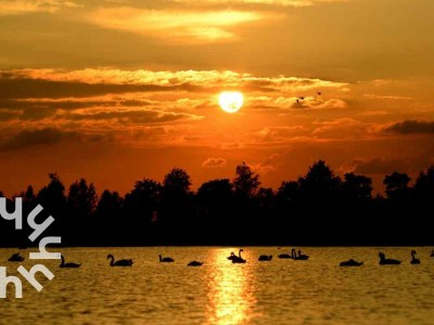 Holiday house Holiday house Giethoorn - OV269 - Environment photo 26