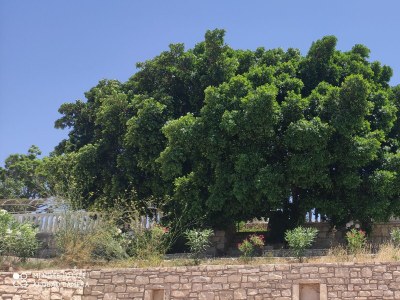 Villa Villa Sarah - Outdoor photo 10