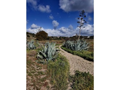 Villa Villa Sarah - Outdoor photo 15