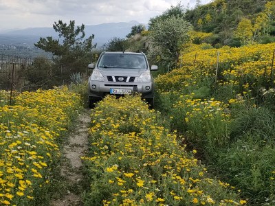 Villa Villa Sarah - Environment photo 40