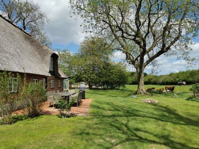 Holiday house Hof Osterfeld - Outdoor photo 8