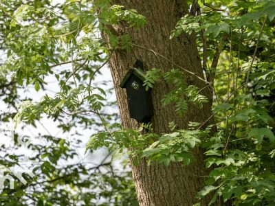 Holiday house Holiday house Giethoorn - OV270 - Environment photo 18