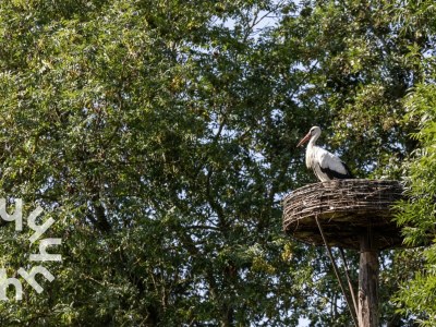 Holiday house Holiday house Giethoorn - OV270 - Environment photo 25