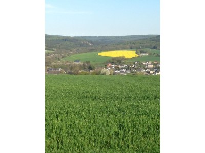 Holiday house "Alte Molkerei" - Environment photo 20