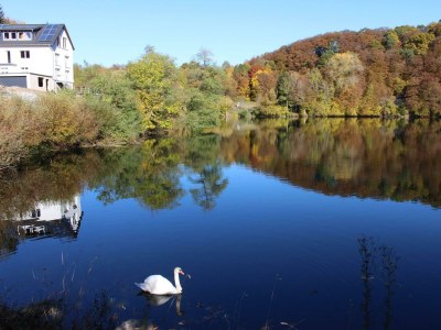 Apartment 6-Bett Ferienhaus Burg - Outdoor photo 18