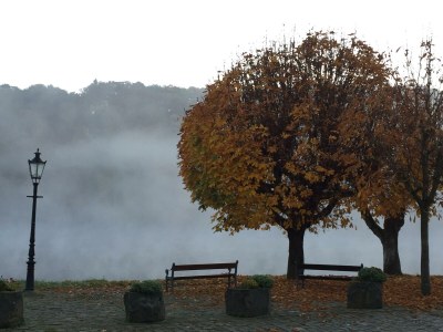 Apartment 6-Bett Ferienhaus Burg - Outdoor photo 64