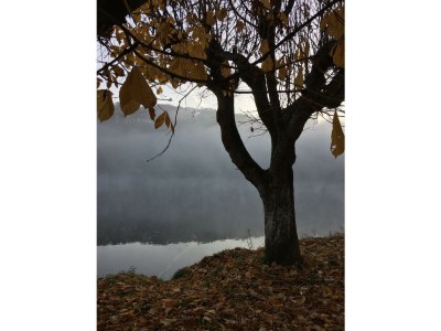 Apartment 6-Bett Ferienhaus Burg - Outdoor photo 69