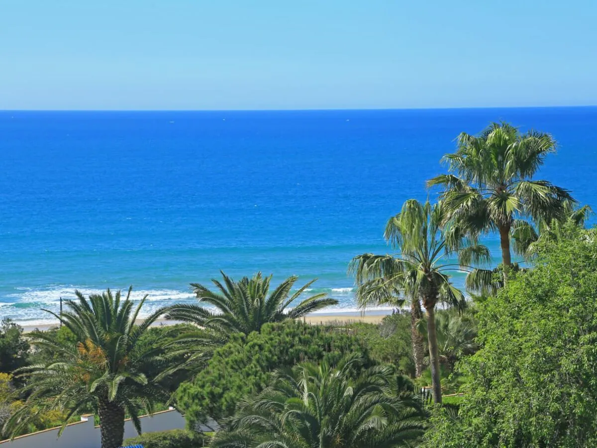 Holiday apartment El CariÃ±o