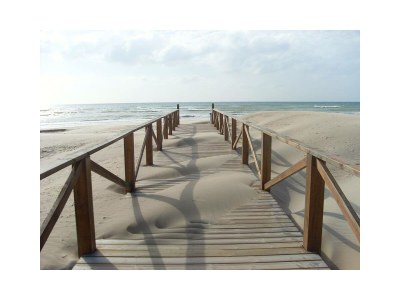 Holiday apartment El CariÃ±o - Environment photo 17