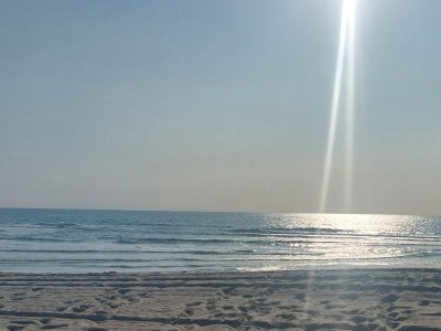 Holiday apartment Sea-Sylt House Lazy Dolphin - Environment photo 24