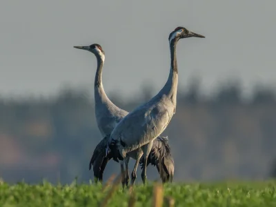 Holiday apartment No title - Environment photo 26
