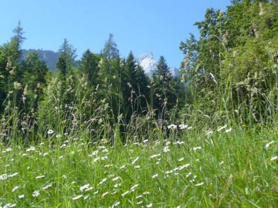 Holiday apartment Franziska - Environment photo 11