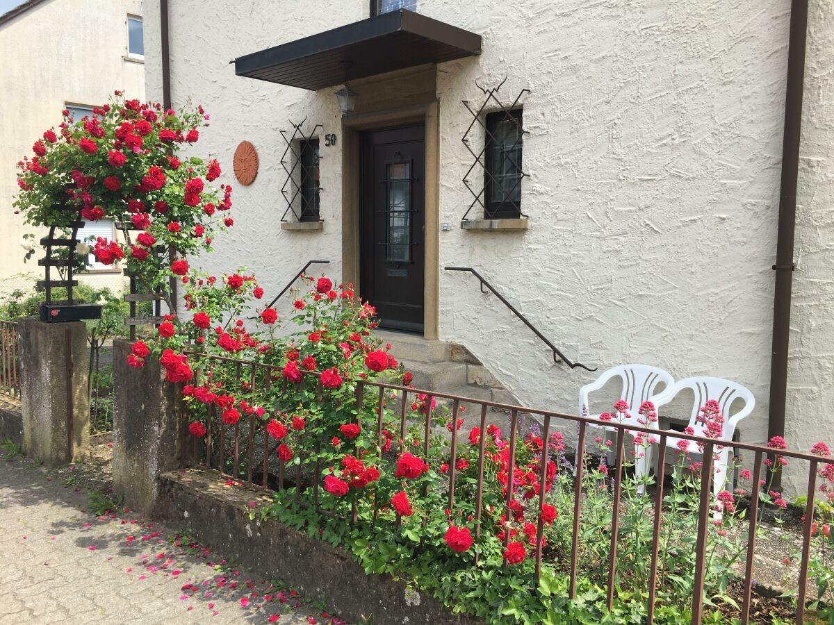 Apartment Appartement/Fewo, Dusche, WC, 1 Schlafraum - Outdoor photo 3