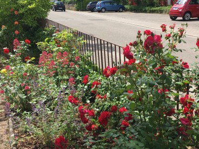 Apartment Appartement/Fewo, Dusche, WC, 1 Schlafraum - Outdoor photo 12