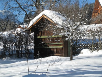 Holiday apartment "Die Villenetage" - Outdoor photo 48