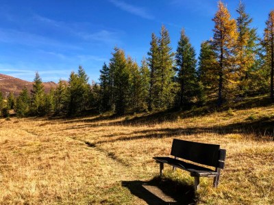 Holiday apartment Murmelbau - Environment photo 12