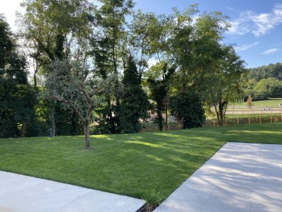 Holiday house Casa Felice - Outdoor photo 5