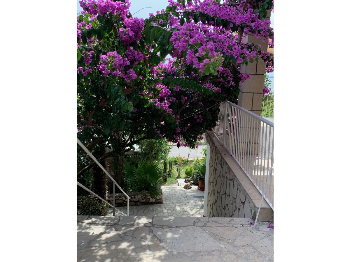 Apartment Martina - Outdoor photo 4