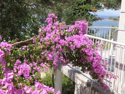 Apartment Martina - Outdoor photo 3