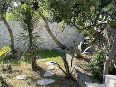 Apartment Martina - Features photo 5