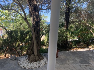 Apartment Martina - Features photo 11