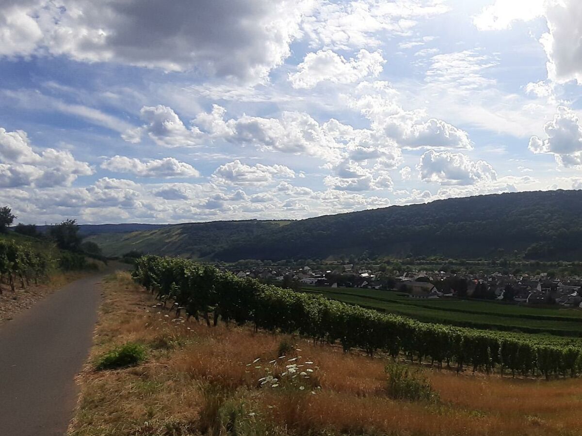 Apartment Ferienwohnung Rosengarten - Outdoor photo 2