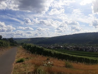 Apartment Ferienwohnung Rosengarten - Outdoor photo 2
