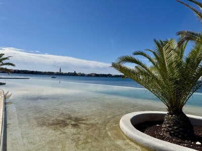 Villa Villa Don Carlo near Porec - Features photo 27