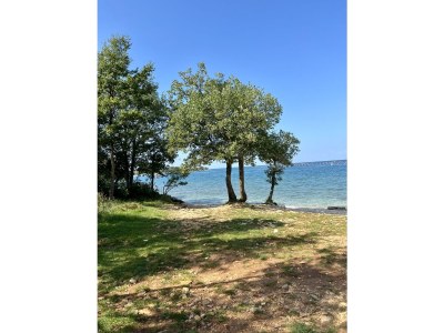 Villa Villa Don Carlo near Porec - Features photo 29