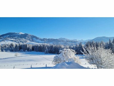 Holiday apartment Alpine Lodge - Environment photo 19