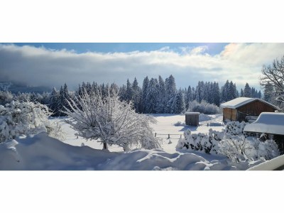 Holiday apartment Alpine Lodge - Environment photo 20