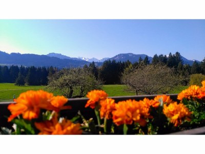 Holiday apartment Alpine Lodge - Environment photo 21