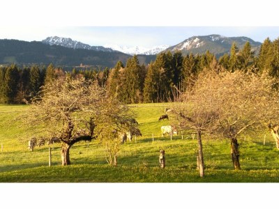 Holiday apartment Alpine Lodge - Environment photo 22