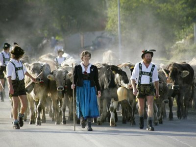 Holiday apartment Alpine Lodge - Environment photo 26