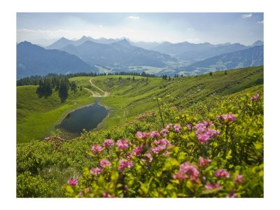 Holiday apartment Alpine Lodge - Environment photo 32