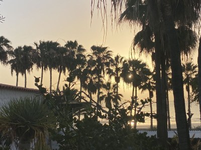 Apartment Alhambra - Outdoor photo 12