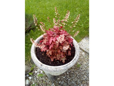 Holiday apartment JOCHSTRASSE 25 - Romantik-Ferienwohnung Appartement/FewoAppartement/FewoAppartement/Fewo JOCHSTRASSE 25 - Die Romantik-Ferienwohnung - Outdoor photo 7