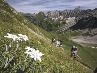Holiday apartment JOCHSTRASSE 25 - Romantik-Ferienwohnung Appartement/FewoAppartement/FewoAppartement/Fewo JOCHSTRASSE 25 - Die Romantik-Ferienwohnung - Environment photo 33
