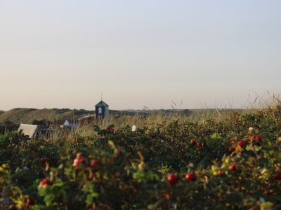 Bungalow In de Luwte Callantsoog - Environment photo 16