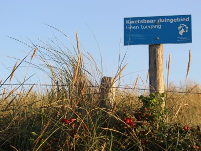 Bungalow In de Luwte Callantsoog - Environment photo 17