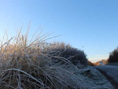 Bungalow In de Luwte Callantsoog - Environment photo 19
